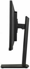 Monitor ProLite 34 cale XUB3493WQSU-B6 IPS,UWQHD,DP,2xHDMI,HAS,21:9,400cd,   120Hz,1000:1,1ms, USB HUBx4, 2x5W,