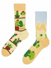 Kaktusová láska - Ponožky Good Mood