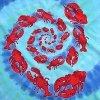 Lobster Spiral - Liquid Blue