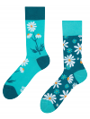 Chamomile - Socks Good Mood