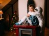 Polar Bears - Junior Socks - Good Mood