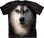 Siberian Husky Face - The Mountain