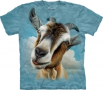 Goat Head Koza - The Mountain