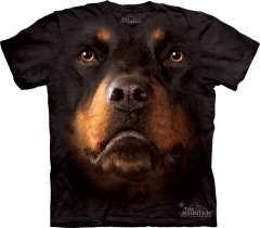 Rottweiler Face - The Mountain 