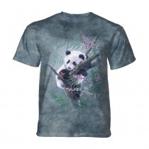 Bamboo Dreams Panda   - The Mountain Junior