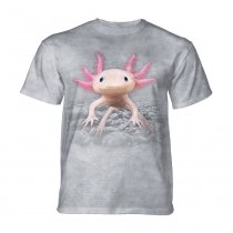 Axolotl  - The Mountain Junior