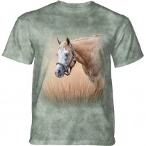 Gentle Spirit Horse - The Mountain