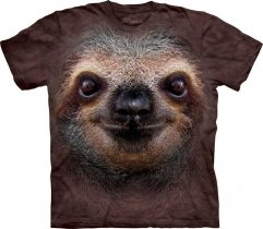 Sloth Face - The Mountain