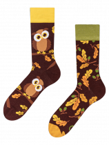 Curious Owl - Socks Good Mood