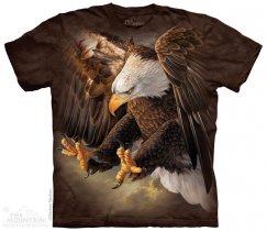 Freedom Eagle - The Mountain