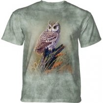 Screech Owl - Sowa  - The Mountain