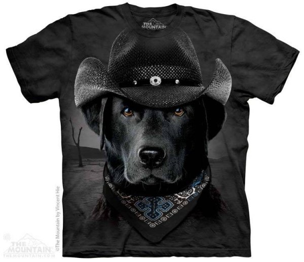 Cowboy Lab - The Mountain