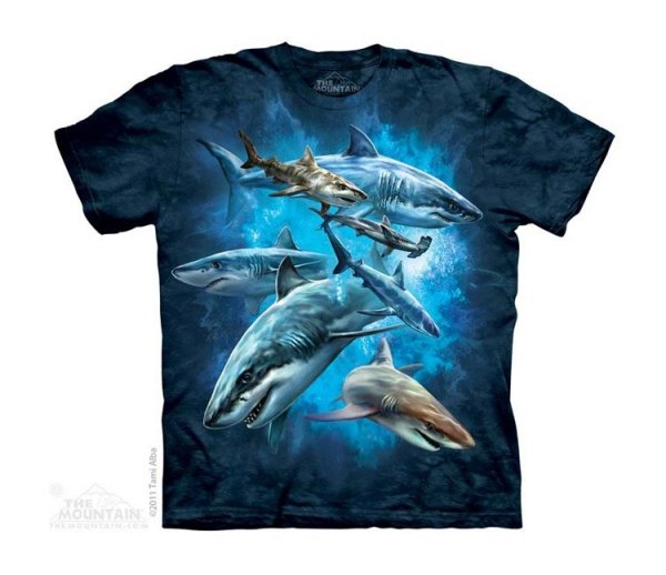 Shark Collage - Junior - The Mountain