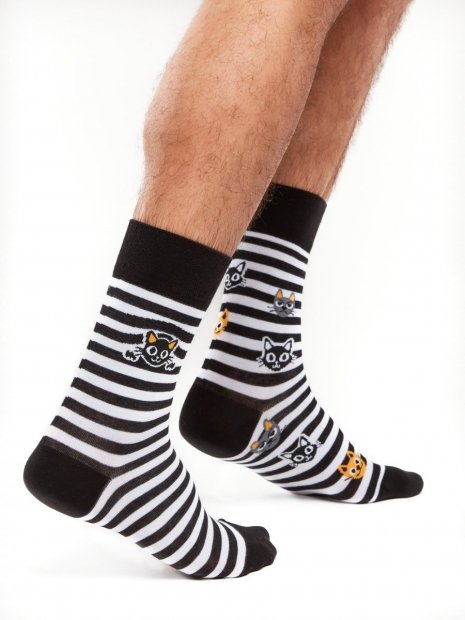 Cats and Stripes - Socks Good Mood
