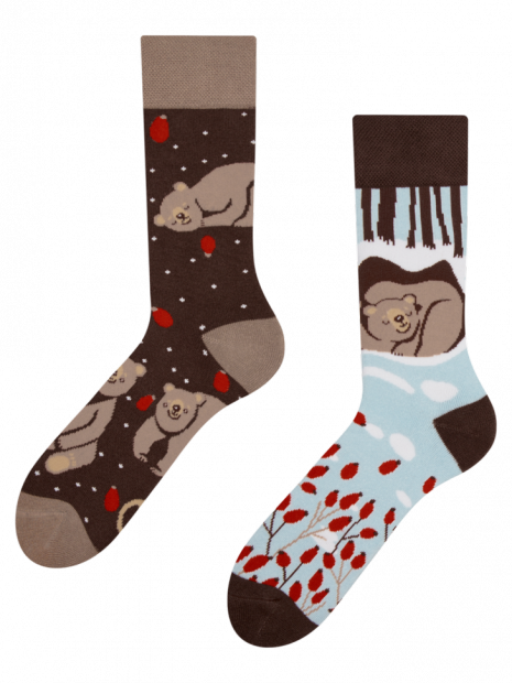 Bear in Winter - Winter Socks - Dedoles