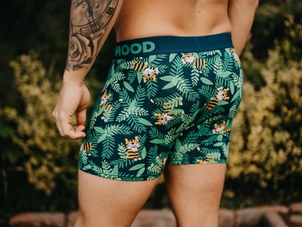 Tiger - Mens Fitted Trunks - Good Mood