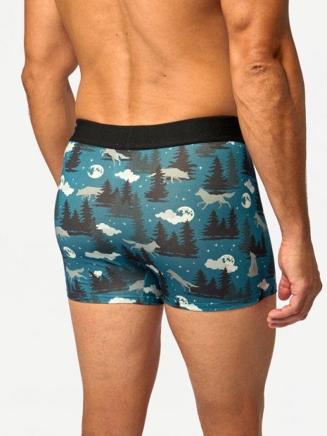 Wolf and Moon - Mens Fitted Trunks - Dedoles