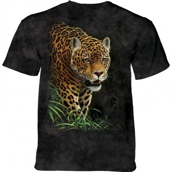 Pantanal Jaguar - The Mountain