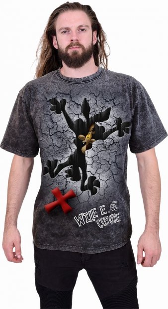 Coyote - Missed the Spot - Looney Tunes