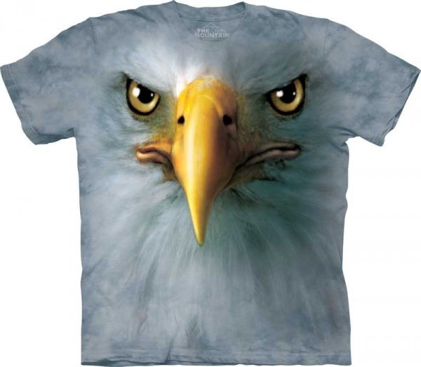 Eagle Face -  The Mountain