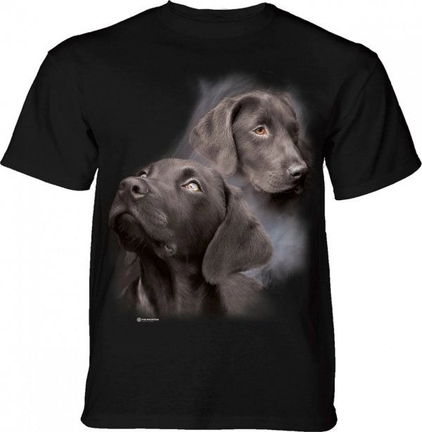 Black Labs - The Mountain