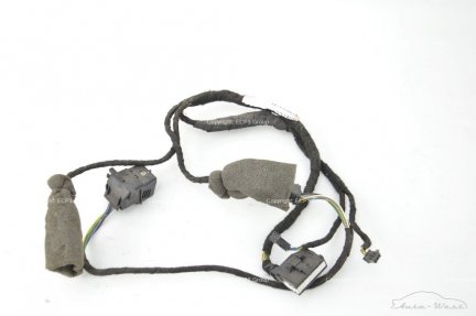 Bentley Continental GT 2003 Roof wire loom harness