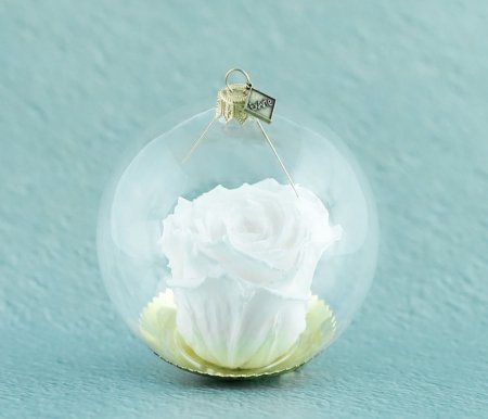 Natürliche haltbare Rose in einer Glaskugel - Weiss