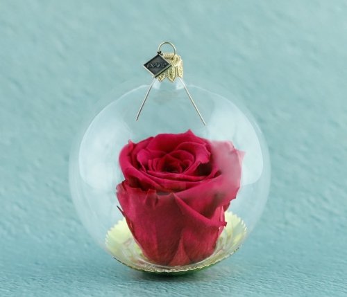 Natürliche haltbare Rose in einer Glaskugel - Karminrot