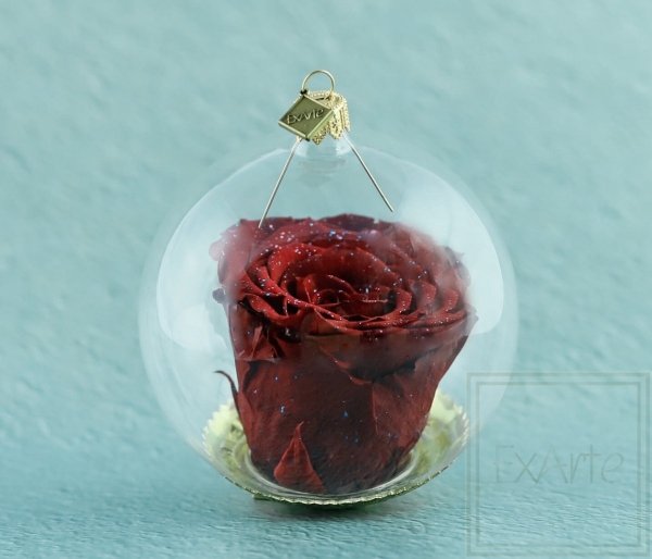róża w szklanej bombce