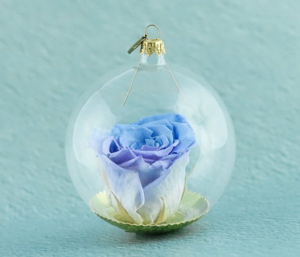 niebiesko-fioletowa róża w przezroczystej bombce