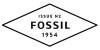 Fossil