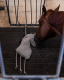 Zabawka dla konia zamszowa - QHP - horse