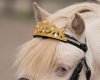 Dekoracyjna korona dla konia/kucyka - QHP