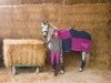 Derka polarowa BICOLOR Eskadron NEXT GENERATION jesień-zima 2014 - deep pink/navy