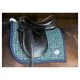 Potnik CHECK - Harry's Horse 