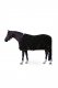 Derka polarowa Pegasus Pony - Horze 