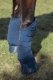 Ochraniacze transportowe SOFTSHELL Heritage AW 24/25 - Eskadron - true blue