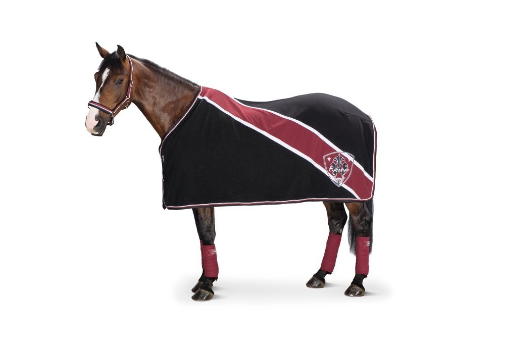 【CSR】 Red Hare, Unrivaled Stallion - EVP Czaprak Harry's Horse 