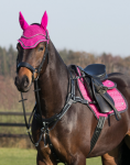 Konik
