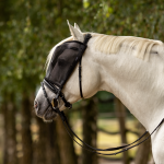 Maska przeciw owadom do jazdy RIDING - Busse