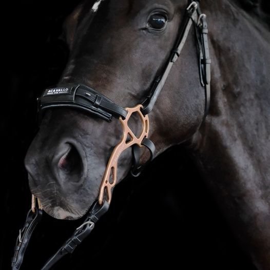 Achetez Bandeau de Nez en Cuir Plat Hackamore Bit chez Haiti