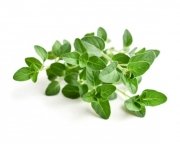 Oregano 1 kg - EQUIHERBS 