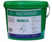 Chlorella 1 kg - EQUIHERBS