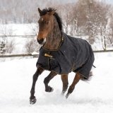 Derka padokowa 100g 1200D IRISH - Bucas - black/gold