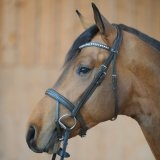 Ogłowie DIANA IR - Kavalkade