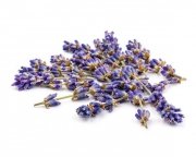 Lawenda - kwiat 1 kg - EQUIHERBS KRÓTKI TERMIN 03/2026