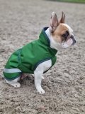 Derka dla psa 50g FREEDOM - Bucas - emerald green