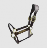 Kantar Anatomic - Kentucky 