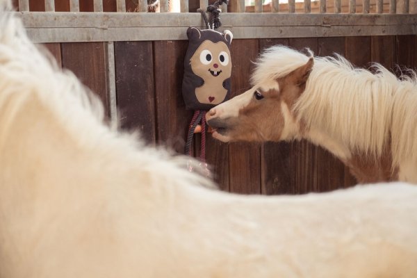 Zabawka dla konia HAMSTER Heritage AW 25/26  - Eskadron - black truffle