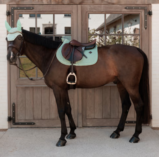 Potnik Velvet - Kentucky - mint